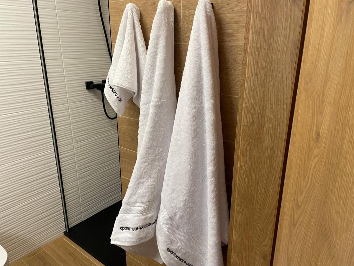 Apartament Kasprowicza كولوبرزيغ المظهر الخارجي الصورة